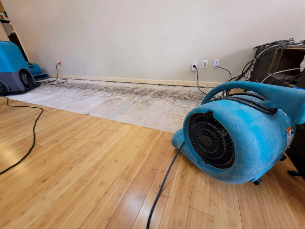 Professional Sewage Cleanup technician working in Hampstead, MD